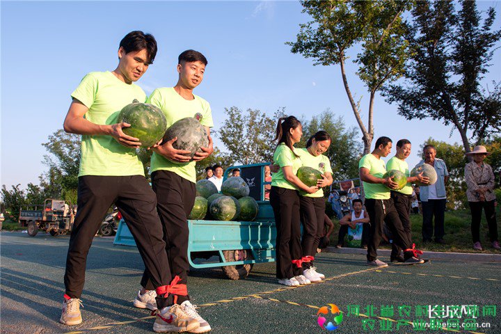 图片3-农民们参加趣味运动会_副本